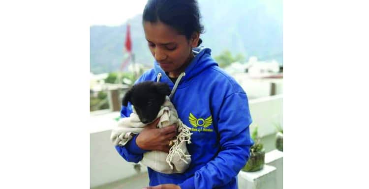 Guardians of Voiceless, Patiala Portfolio at Quadb Apparel Private Limited a Custom Apparel Manufacturing Brand